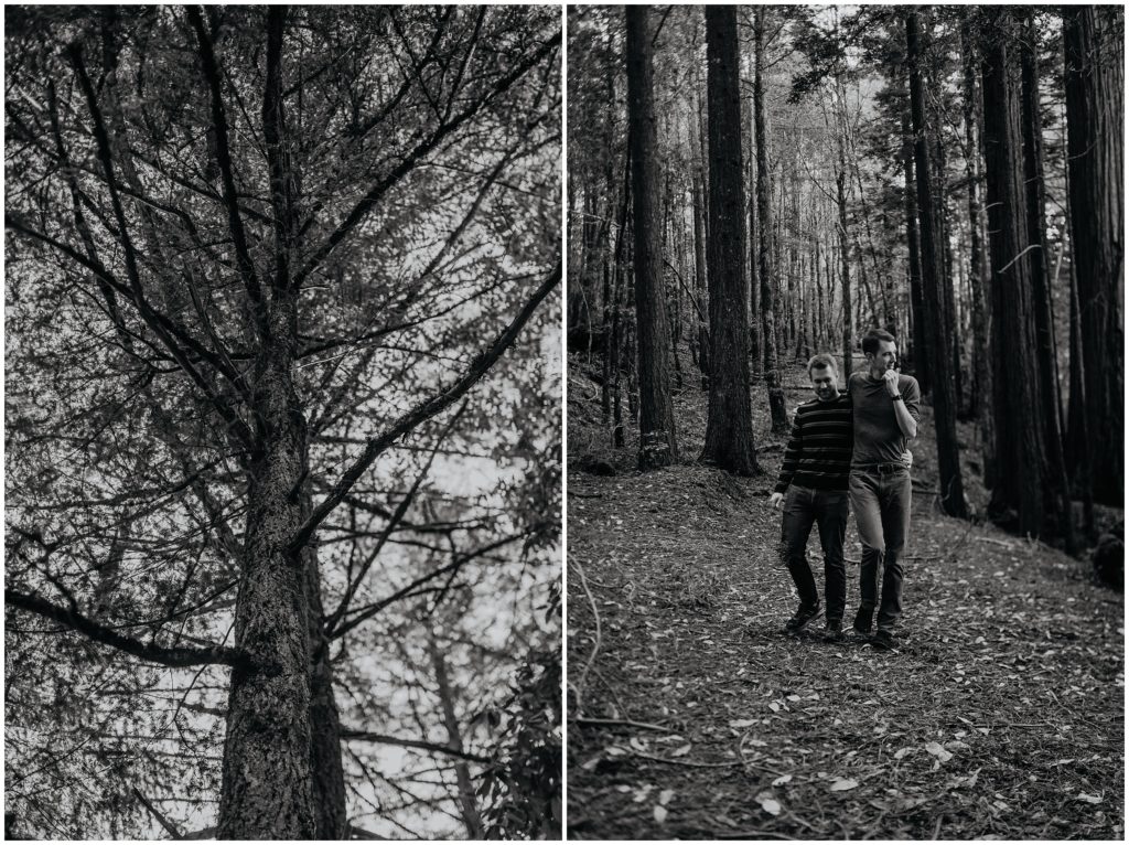 gay couple redwoods engagement