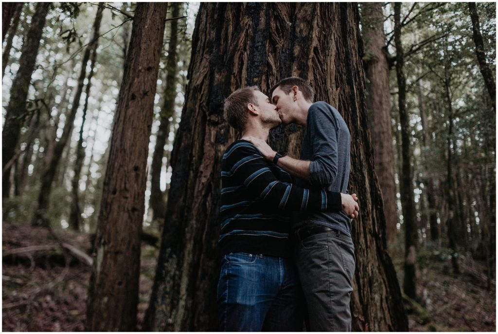gay couple redwoods engagement