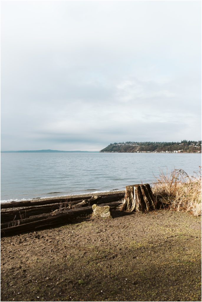 A view of Puget Sound from the beach at Seahurst Park. Seattle engagement session inspiration