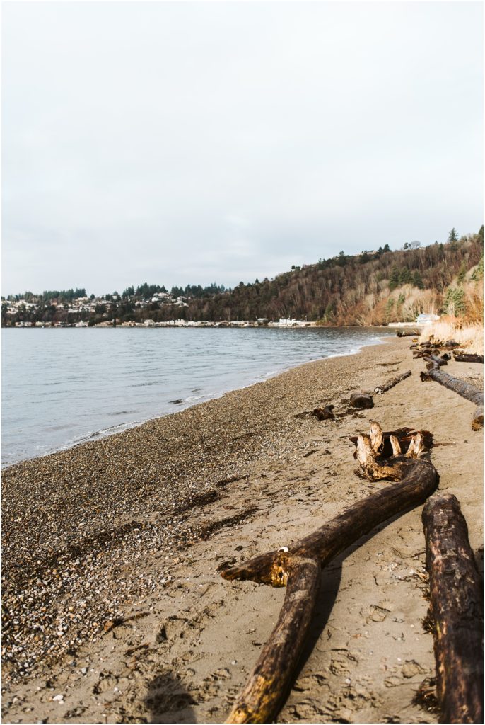 A view of Puget Sound from the beach at Seahurst Park. Seattle engagement session inspiration