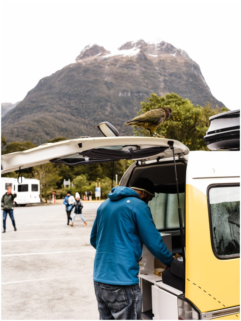 How to travel New Zealand in a campervan, making sandwiches with a kea on the van